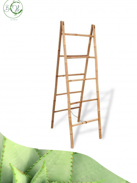 Bamboo Double Ladder